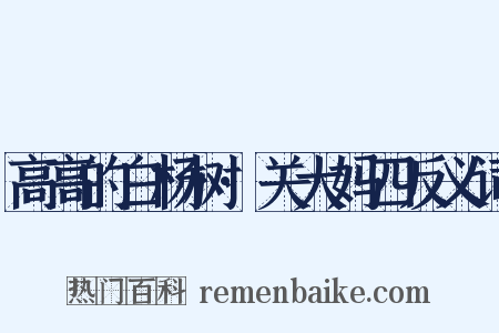 高高的白杨树·关大妈四反义词是什么意思的图片
